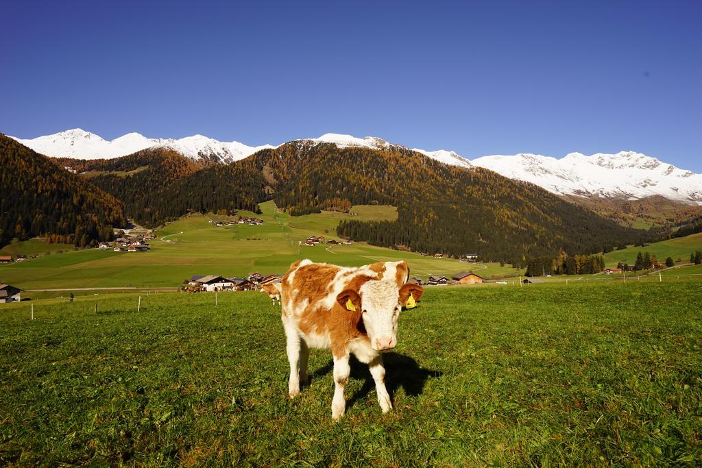 Apartment Unterhabererhof Santa Maddalena in Casies