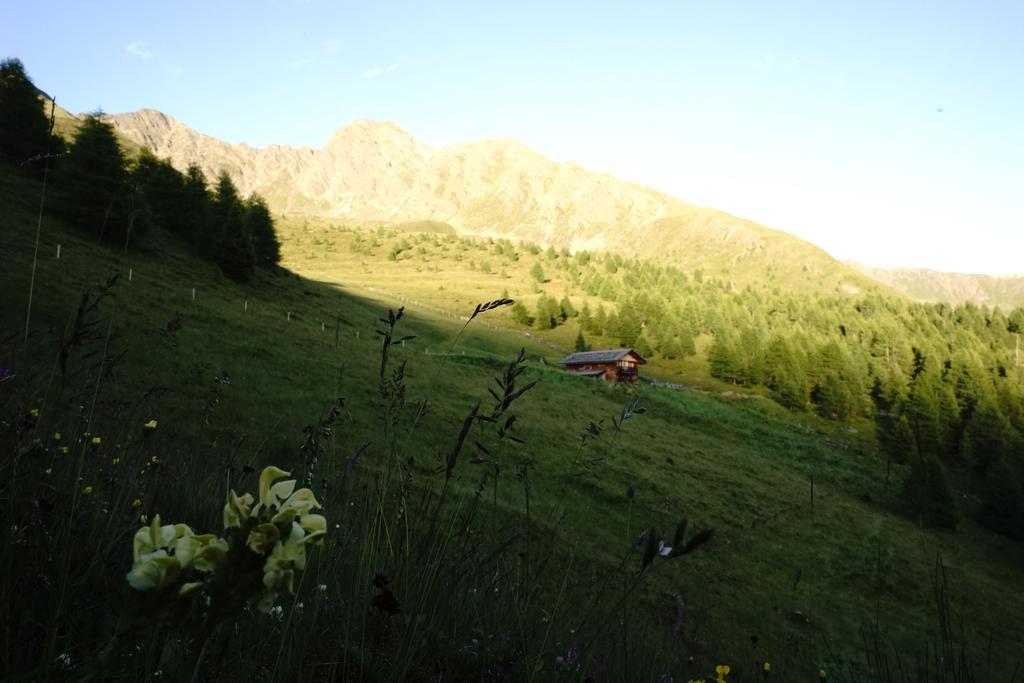 Unterhabererhof Santa Maddalena in Casies